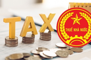 Sơn La: Công khai 69 đơn vị nợ thuế với tổng số tiền hơn 77 tỷ đồng