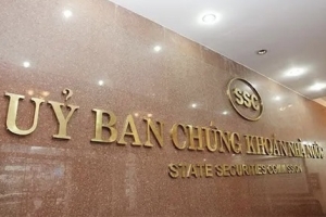 Vi phạm trong lĩnh vực chứng khoán, Tập đoàn Sông Đà Nhật Nam bị phạt
