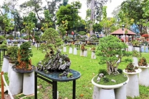 Đặc sắc lễ hội hoa xuân tại TP. HCM với chủ đề 'Sắc ngọ nghinh xuân'
