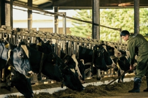 Mộc Châu Milk ghi nhận doanh thu đạt 721,2 tỷ đồng trong quý IV/2025