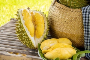 Giá sầu riêng hôm nay 21/1: Thị trường ổn định