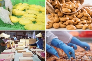 Nông nghiệp Việt Nam từ quốc gia thiếu đói đến cường quốc nông sản 70 tỷ USD