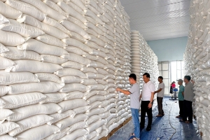 Nhập kho kỷ lục 500.000 tấn lương thực, sẵn sàng ứng phó thiên tai, biến động giá