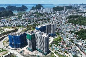 Hà Nội giao gần 5,9ha đất cho Him Lam xây khu nhà ở xã hội tại Phúc Lợi