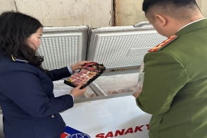 Thanh Hóa: Phạt 14 triệu đồng, buộc tiêu hủy hàng loạt thực phẩm đông lạnh vi phạm