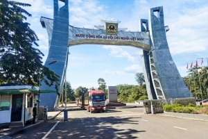 THILOGI triển khai vận chuyển bò xuất - nhập khẩu quy mô lớn