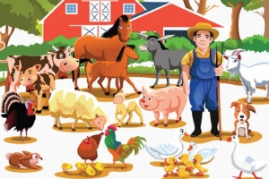Ngành chăn nuôi Đồng Tháp hướng tới sản xuất bền vững