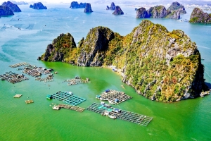 Du lịch Quảng Ninh 2026: Nâng tầm thương hiệu từ những giá trị khác biệt