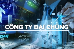 Hàng loạt doanh nghiệp vừa bị hủy tư cách công ty đại chúng