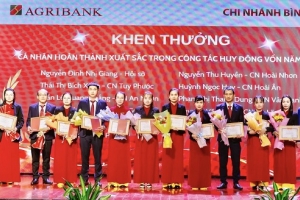 Gia Lai: Tổng dư nợ cho vay của Chi nhánh Agribank Bình Định tăng 17,5%