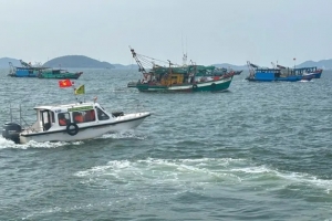 Bí thư An Giang chỉ đạo xử lý nghiêm tàu cá “3 không” gây rối vùng biển Kiên Lương