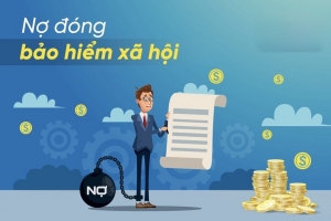 Cà Mau: Hơn 600 doanh nghiệp nợ bảo hiểm