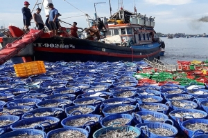 Thủ tướng chỉ đạo gỡ “thẻ vàng” IUU trong tháng 4 năm 2026