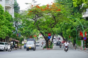 Hà Nội lấy ý kiến thí điểm xây dựng các tuyến phố cảnh quan tại khu vực trung tâm