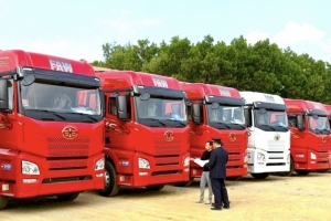 Nửa đầu tháng 1/2026, cả nước nhập khẩu 5.598 xe ô tô nguyên chiếc