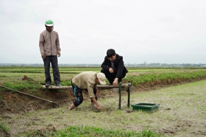 Quảng Trị: Có 6.000ha lúa tưới ngập khô xen kẽ trong vụ đông - xuân