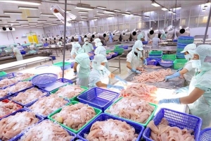 ACL lãi quý IV/2025 gấp hơn 7 lần, mới hoàn thành 48% kế hoạch lợi nhuận