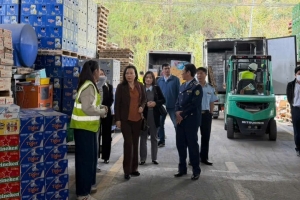 Tuyên Quang, Lâm Đồng: Xử lý hàng trăm vụ hàng lậu, gian lận thương mại