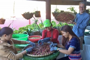 Lâm Đồng: Chuyển trồng trọt từ chuỗi cung ứng sang chuỗi giá trị ngành hàng