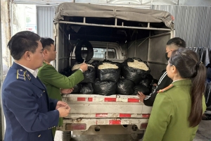 Ninh Bình: Xử phạt cơ sở kinh doanh 300kg giá đỗ không rõ nguồn gốc