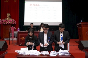 Hà Nội: Đấu giá đất ở xã Quang Minh có giá cao nhất gần 130 triệu đồng/m2
