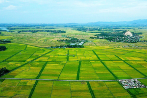 Sửa đổi, bổ sung quy định về phân cấp, phân quyền, phân định thẩm quyền trong lĩnh vực đất đai