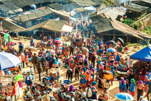 Thương hiệu vùng cao: Đánh thức giá trị bản địa, khơi dòng di sản vươn xa