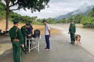Thanh Hóa tập trung thực hiện các nhiệm vụ, giải pháp về phòng, chống xuất nhập cảnh trái phép