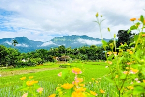 Xây dựng nông thôn phát triển toàn diện, hiện đại, nâng cao đời sống vật chất, tinh thần của nông dân