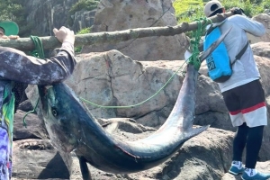 Đà Nẵng: Cần thủ kể lại cuộc vật lộn với con cá thu khủng nặng 63kg
