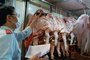 TP. HCM chủ động “giữ sạch” bữa ăn ngày Tết