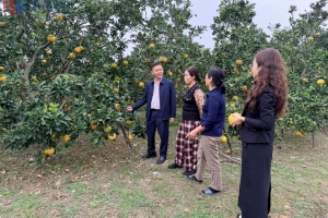 Quảng Ninh: Gần 2.400 người lao động được vay vốn theo mức mới