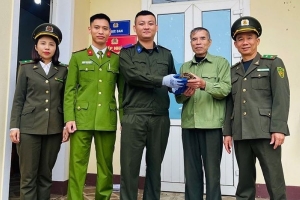 Hà Tĩnh: Người dân giao nộp cá thể rùa núi vàng quý hiếm