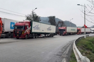 Cục Hải quan yêu cầu bảo đảm thông quan nhanh chóng, kịp thời cho doanh nghiệp