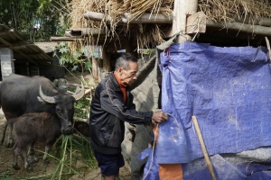 Thanh Hoá khẩn trương triển khai các biện pháp chủ động ứng phó với đợt rét đậm, rét hại