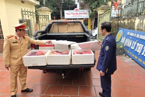 Ninh Bình phát hiện xe ô tô vận chuyển gần 100 kg nội tạng lợn không rõ nguồn gốc