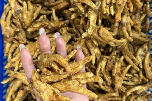 Quảng Ninh: Thu giữ và tiêu hủy hơn 6 tấn chân gà không rõ nguồn gốc