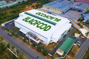 Antesco lên kế hoạch chi cổ tức sau khi vừa lên sàn HOSE