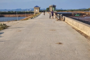 Quy định về quản lý, bảo vệ hệ thống đê cấp IV, V và đê biển tại Thanh Hóa