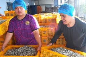 Lâm Đồng: 6 doanh nghiệp chế biến, xuất khẩu hơn 108.000 tấn thủy sản