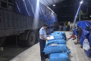 Đắk Lắk buộc tiêu hủy gần 20.000 đơn vị sản phẩm với trị giá hơn 1 tỷ đồng