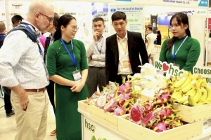 Nông sản Việt tại EU: Thị phần khiêm tốn và bài toán nâng vị thế