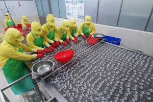 Cà Mau triển khai chương trình cải thiện môi trường kinh doanh năm 2026