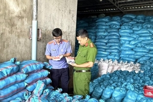 Đắk Lắk: Khởi tố giám đốc doanh nghiệp sản xuất hơn 1.700 tấn muối i-ốt giả