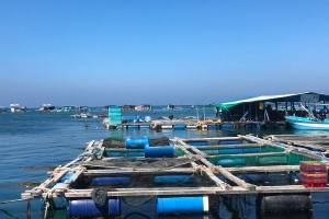 Lâm Đồng chuyển hướng mạnh sang nuôi biển công nghệ cao