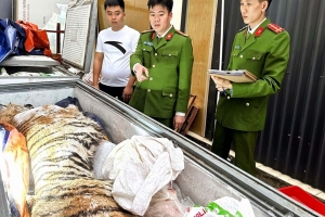Thanh Hóa: Mua bán, tàng trữ động vật nguy cấp, 2 đối tượng bị khởi tố