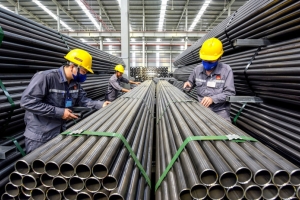 Hài hòa giữa bảo vệ sản xuất trong nước với thúc đẩy hội nhập