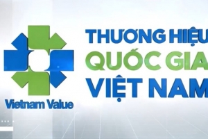 Xây dựng Dự thảo Thông tư quy định Hệ thống tiêu chí Chương trình Thương hiệu quốc gia Việt Nam