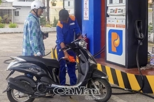 Cà Mau bảo đảm nguồn cung xăng dầu dịp Tết