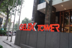 Cổ phiếu “họ” Gelex “bùng nổ” trước kỳ nghỉ Tết